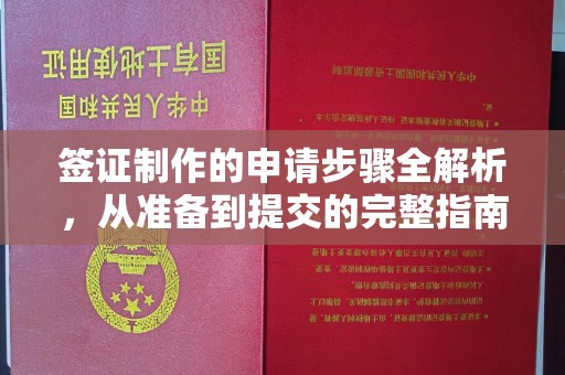 苍梧签证制作的申请步骤全解析，从准备到提交的完整指南