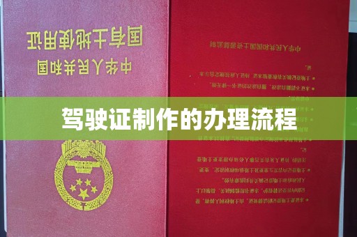 苍梧驾驶证制作的办理流程