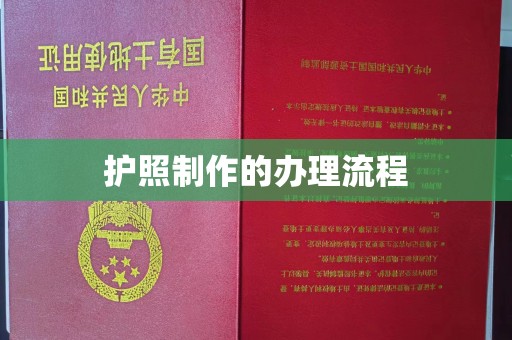 苍梧护照制作的办理流程