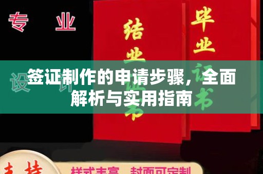苍梧签证制作的申请步骤，全面解析与实用指南