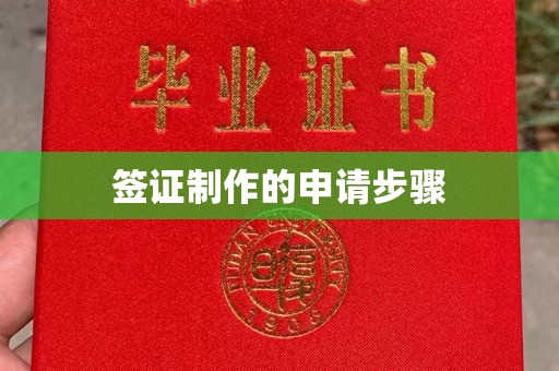 苍梧签证制作的申请步骤