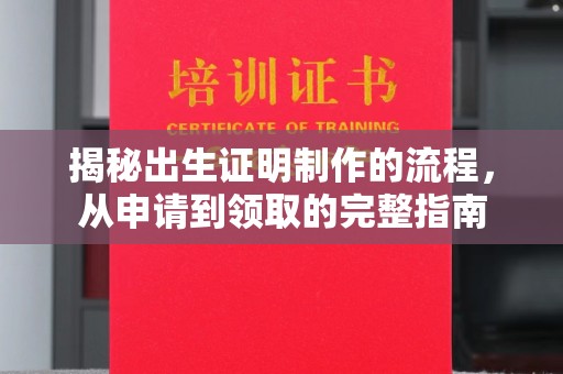 苍梧揭秘出生证明制作的流程，从申请到领取的完整指南