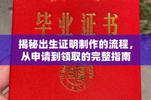 苍梧揭秘出生证明制作的流程，从申请到领取的完整指南