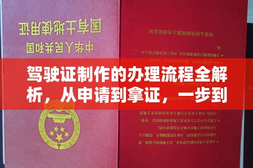 苍梧驾驶证制作的办理流程全解析，从申请到拿证，一步到位！