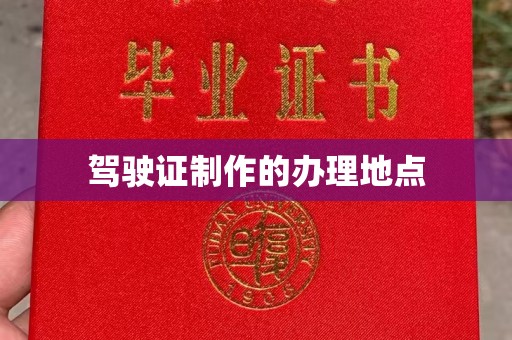 苍梧驾驶证制作的办理地点