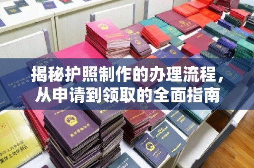苍梧揭秘护照制作的办理流程，从申请到领取的全面指南