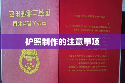 苍梧护照制作的注意事项
