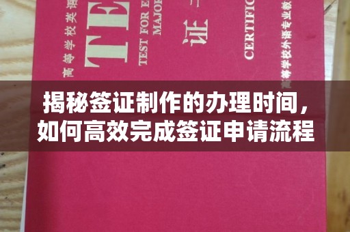 苍梧揭秘签证制作的办理时间，如何高效完成签证申请流程