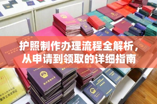 苍梧护照制作办理流程全解析，从申请到领取的详细指南