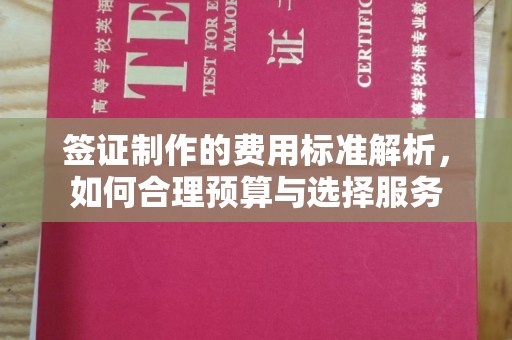 苍梧签证制作的费用标准解析，如何合理预算与选择服务