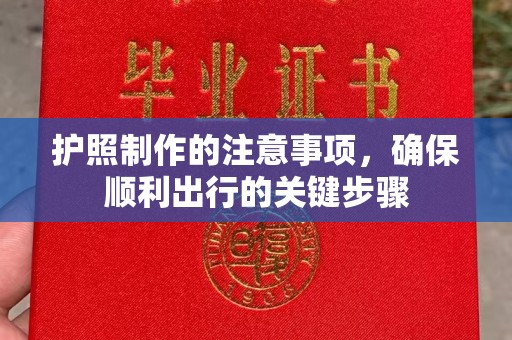 苍梧护照制作的注意事项，确保顺利出行的关键步骤