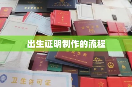 苍梧出生证明制作的流程