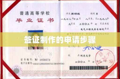 苍梧签证制作的申请步骤
