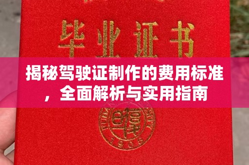 苍梧揭秘驾驶证制作的费用标准，全面解析与实用指南