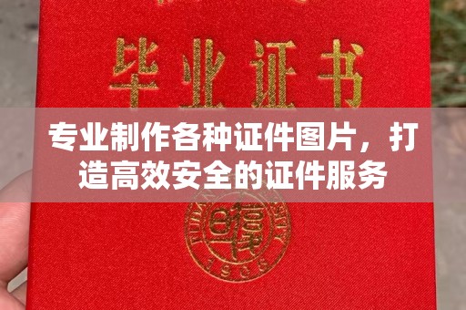 苍梧专业制作各种证件图片，打造高效安全的证件服务