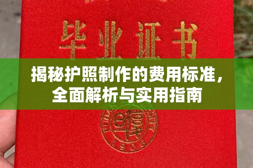 苍梧揭秘护照制作的费用标准，全面解析与实用指南