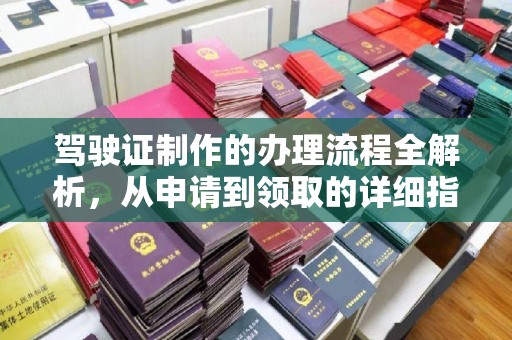 苍梧驾驶证制作的办理流程全解析，从申请到领取的详细指南