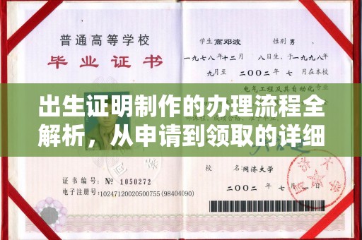 苍梧出生证明制作的办理流程全解析，从申请到领取的详细指南