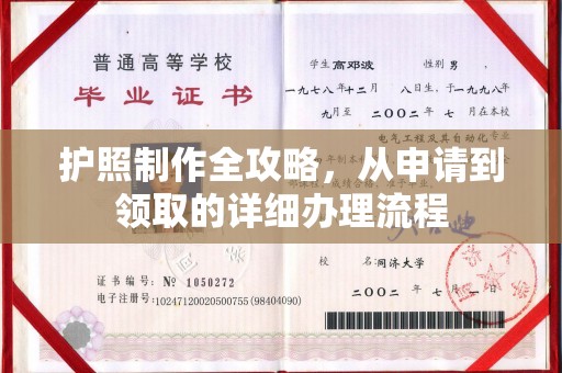 苍梧护照制作全攻略，从申请到领取的详细办理流程